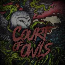 Court Of Owls : Court of Owls